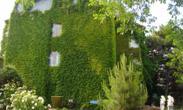 DSC06127