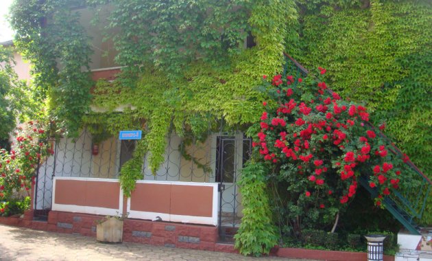 DSC06133
