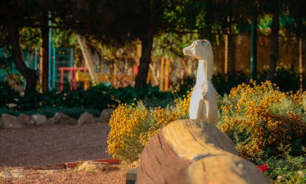 _MG_8005